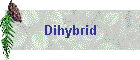 Dihybrid