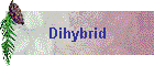 Dihybrid
